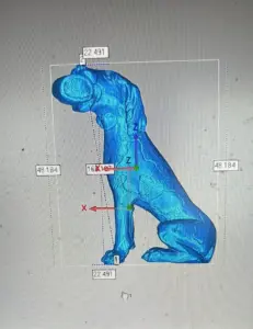 Scansione 3D